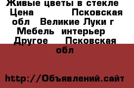 Живые цветы в стекле › Цена ­ 1 200 - Псковская обл., Великие Луки г. Мебель, интерьер » Другое   . Псковская обл.